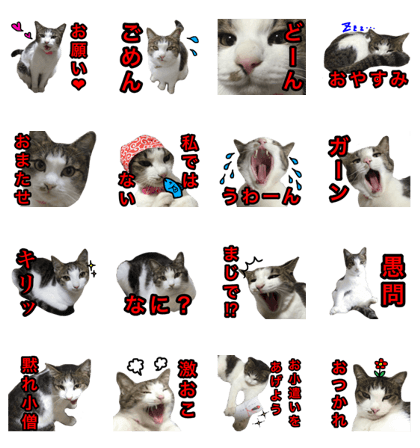 asari sakaguchi sticker