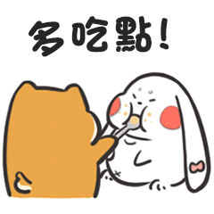 Happy daily life of rabbit and Shiba Inu