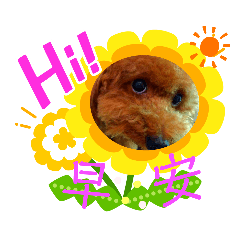 布丁話語