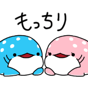 soft whale shark Mochibe