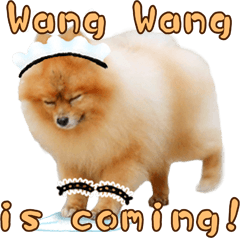 Wang Wang woof! woof!(English Ver)