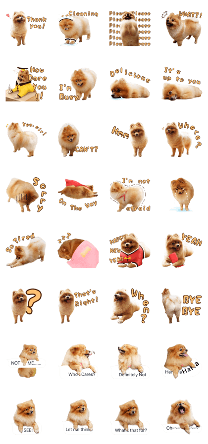 Wang Wang woof! woof!(English Ver)