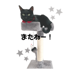 jiji_20201106195045