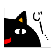 Cats are watching