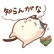Funny Fat Cats Sticker