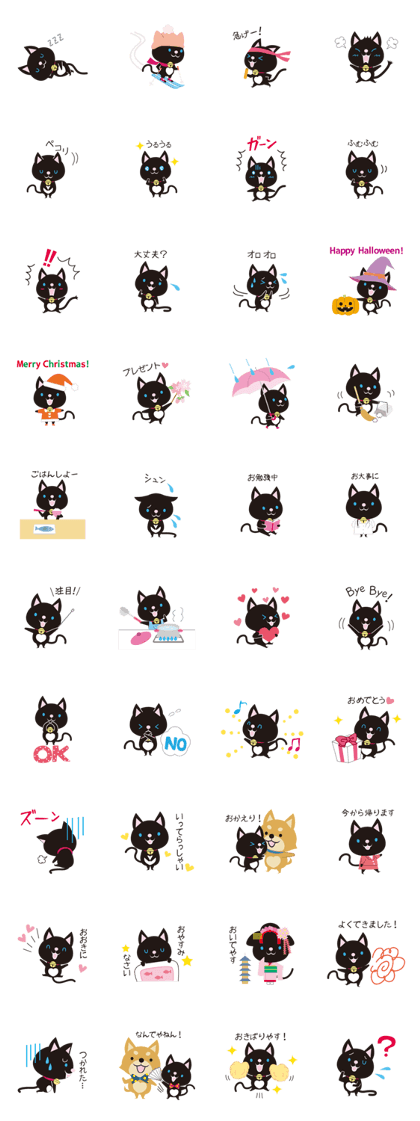 Kyoto Animal Welfare Center, Miyako-chan