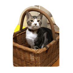 yuina_20201106221227