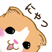 SUKO-SAN