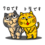 Do you not know our KURO? with TORA