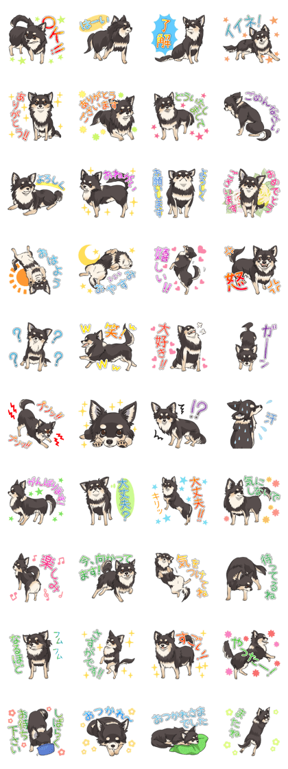 I Love Chihuahua Sticker(Black Tan)