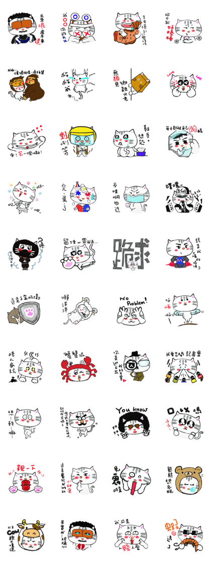 Faty cat's dramatic life