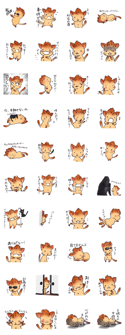 Mohican hair cat, Gribow 2SE