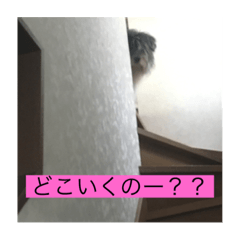 Yun_20201107000911