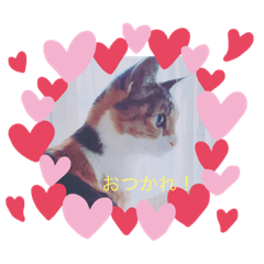 saori_20201106220646