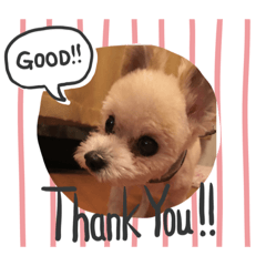 Smile_20201106220205