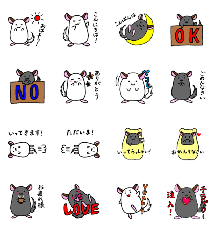 Our chinchillas
