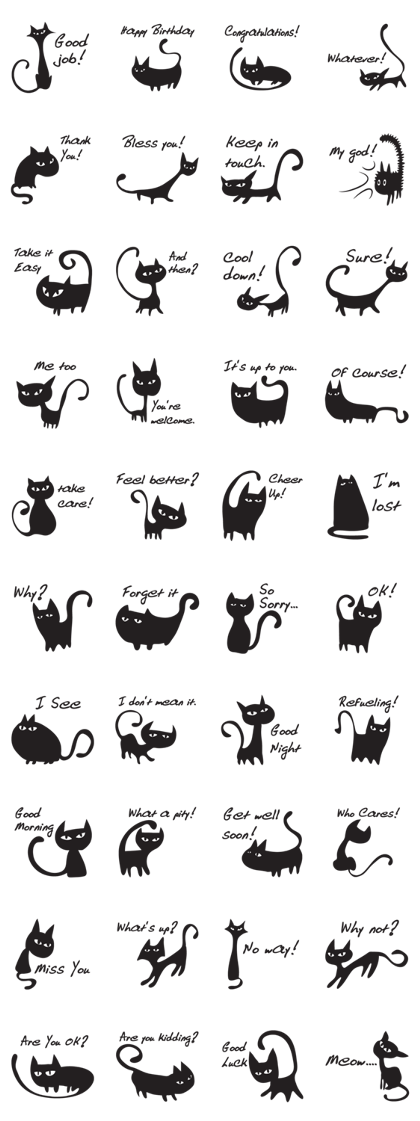 black cat talk