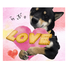 kuroazu_beans_20201107065127 – Stickers LINE | LINE STORE