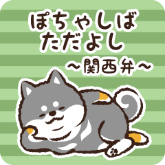 Pocha Shiba Tadayoshi (Black)