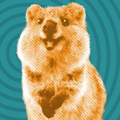 Quokka Chan Cheers You Up in French!