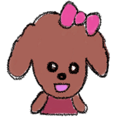 Toy poodle Momiji