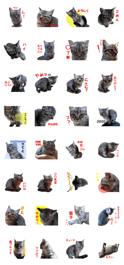 Tiny cat's silver healing sticker