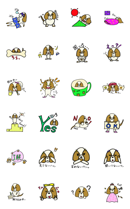 Happy every day of Shih Tzu PIPI