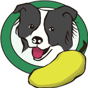 Border Collie Daily