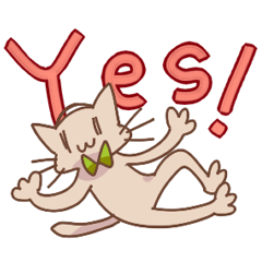 cheerful cat Pista