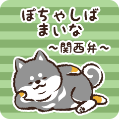 Pocha Shiba Maina (Black)