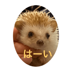 junko_20201107115345