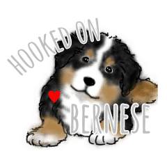 HOOKED ON BERNESE!
