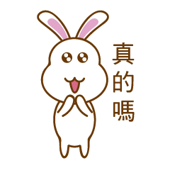 White Mochi Rabbit