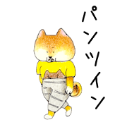 Pants in SHIBAINU
