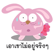 Gym bunny