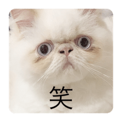 smile_20201107131044