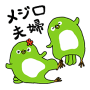 A good friend! White-eyes couple