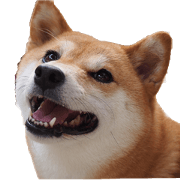 shibainufan