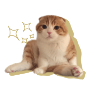 Chiitarou Daily Life