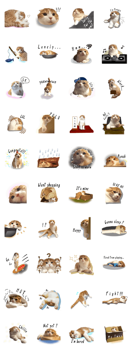 Chiitarou Daily Life