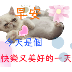 咘咘表情寫真集