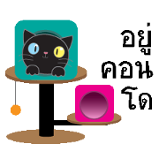 Easy Black Cat (Pepper)