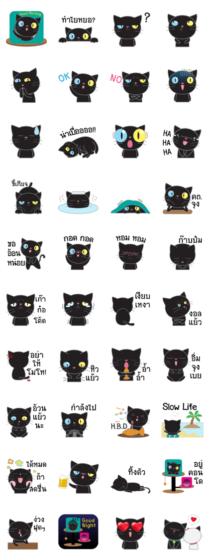 Easy Black Cat (Pepper)