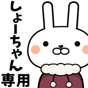 Sho-chan exclusive rabbit