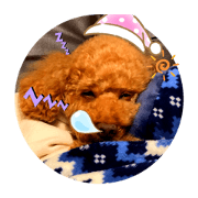 matsuryu_20201107190606