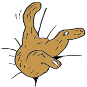 A wonderful cat sticker