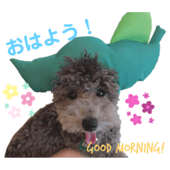 nanami_20201107202912