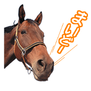 Horse Sticker OSAKA