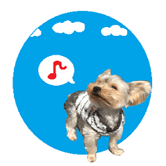Sticker of a Yorkshire terrier3