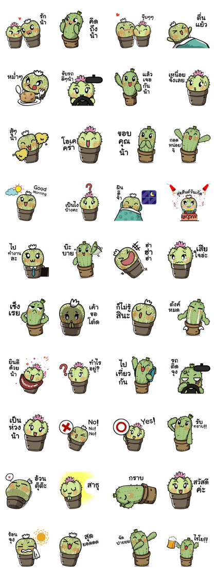 The Cactus Playground Gang